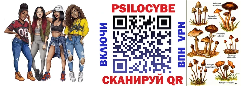 Псилоцибиновые грибы GOLDEN TEACHER  Глазов 
