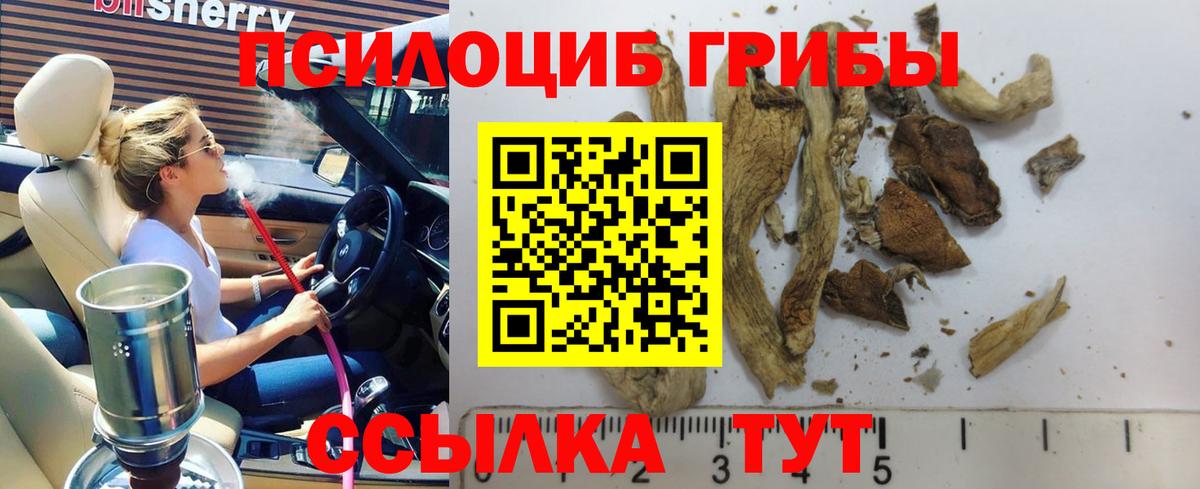Галлюциногенные грибы Magic Shrooms Глазов